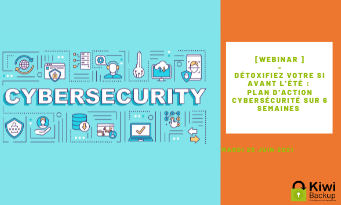 detoxifier-votre-si-webinar-kiwi-backup detoxifier-votre-si-webinar-kiwi-backup