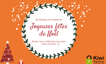 miniature-voeux noel kiwi backup miniature-voeux noel kiwi backup