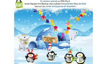 carte de voeux Kiwi Backup 2016