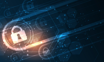 minitiaure-journee-mondiale-protection-des-donnees minitiaure-journee-mondiale-protection-des-donnees